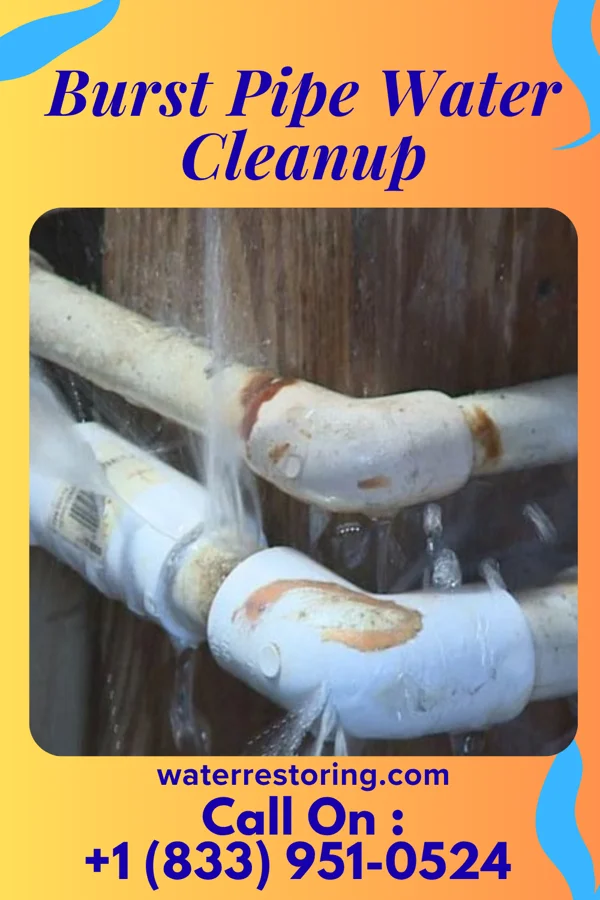 Burst Pipe Water Cleanup in Coal Center, PA