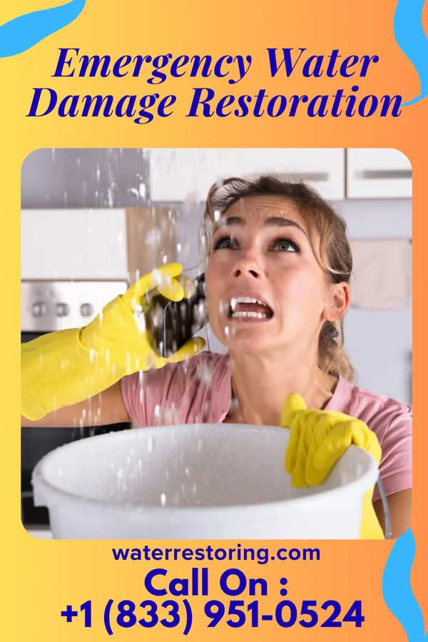 Emergency Water Damage Restoration in Coal Center, PA