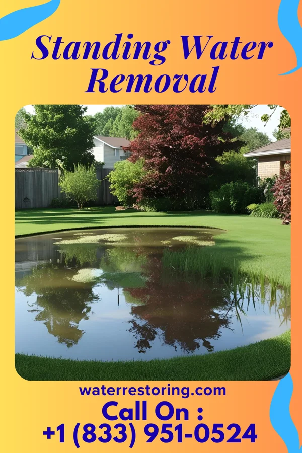 Standing Water Removal in Coal Center, PA